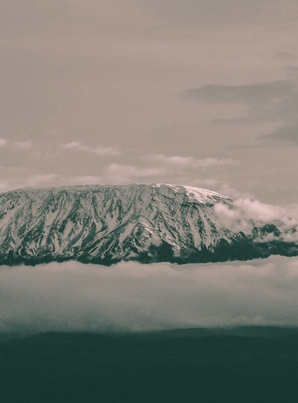 Summit the Roof of Africa – Kilimanjaro Trekking Adventure