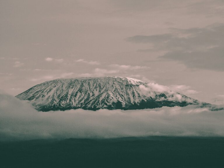 Summit the Roof of Africa – Kilimanjaro Trekking Adventure